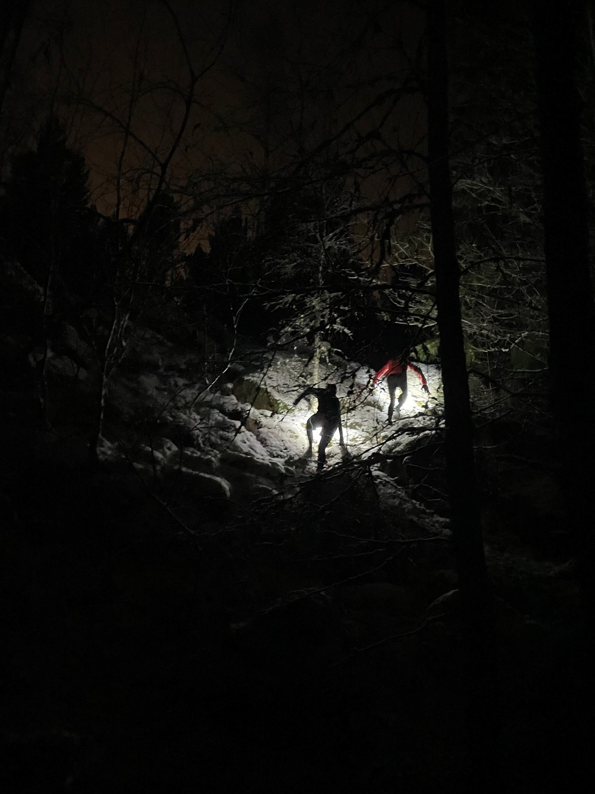 Två löpare med pannlampor i mörk skog med snö